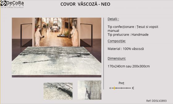 Fisa-Produs-Covor-Neo-DDSLV2893-decoradesign.ro-HD