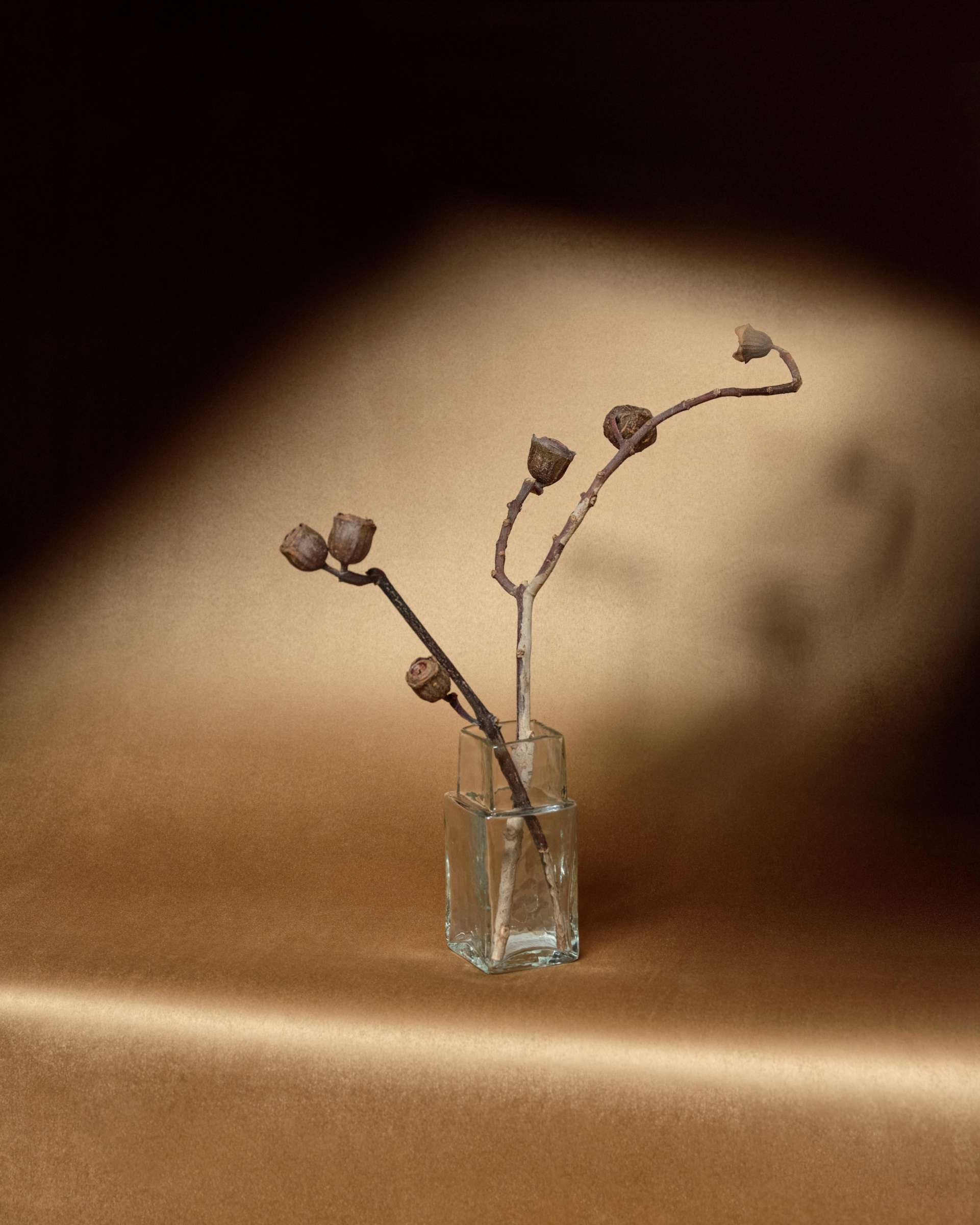 Tapet Elitis – design artistic, texturi spectaculoase și decor premium – Decora Design București