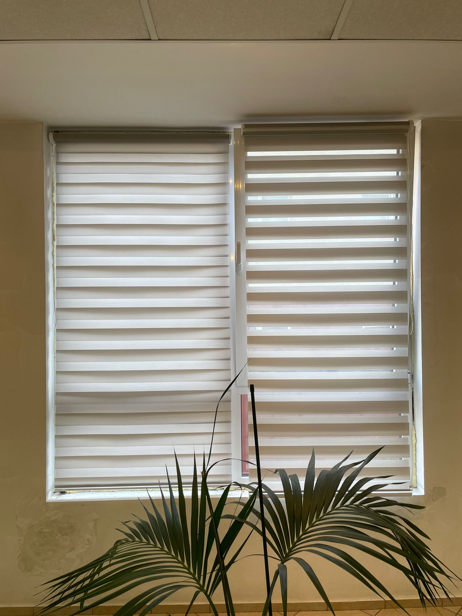 Rulouri Zebra pentru birou – control al luminii – Decora Design București