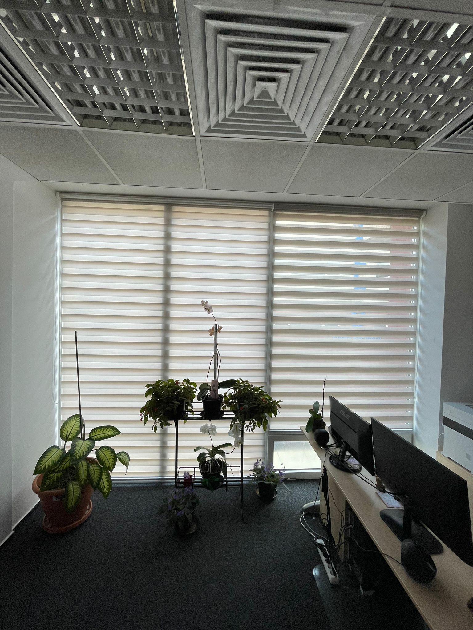 Rulouri Zebra Day Night pentru birou – design modern – Decora Design București